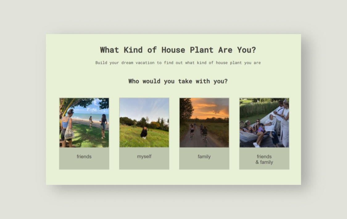House Plant Site Preview